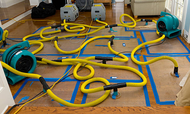 Professional Structural Drying And Dehumidification technician working in Norton, OH